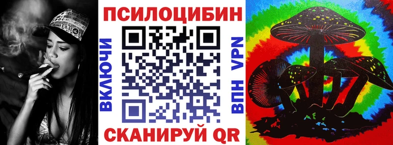 Купить закладки  Оса  Псилоцибиновые грибы MAGIC MUSHROOMS 