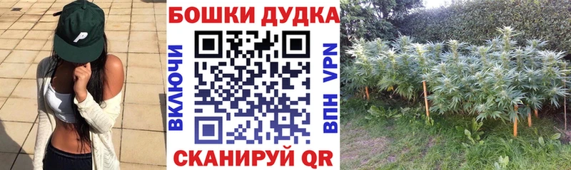 Бошки Шишки марихуана  Купить где  Оса 